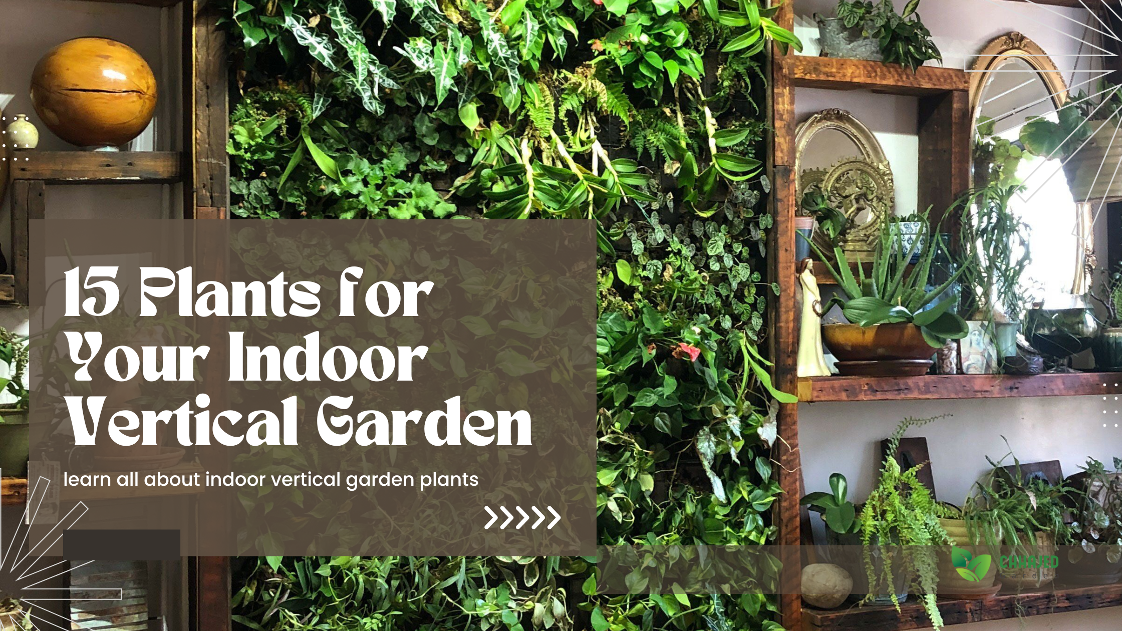 15 Plants for Indoor Vertical Garden –