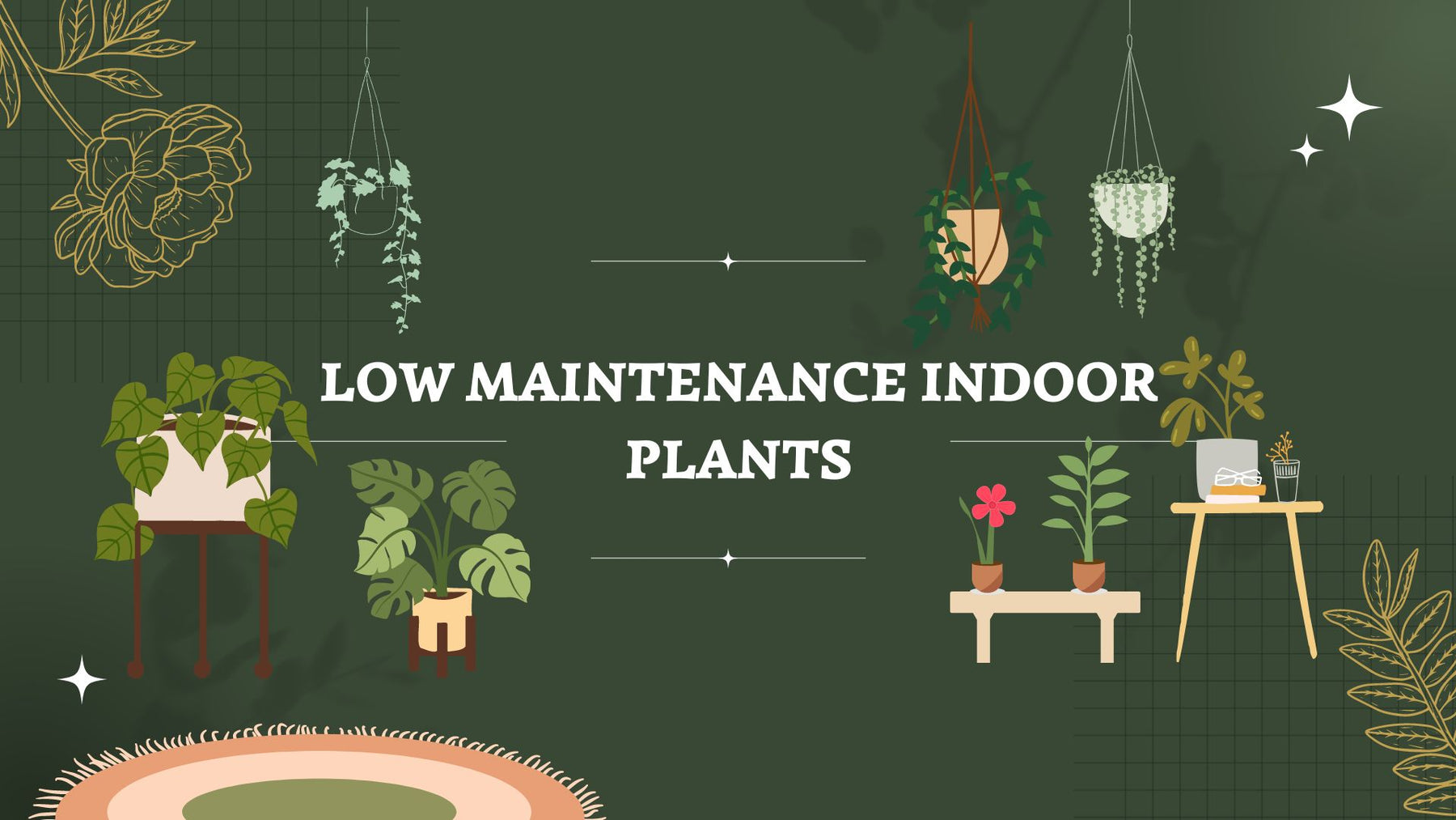 25 Low Maintenance Indoor Plants