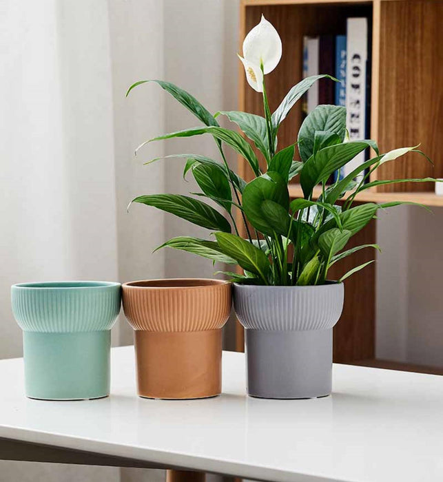 Modern Chic Ribbed Ceramic Pots