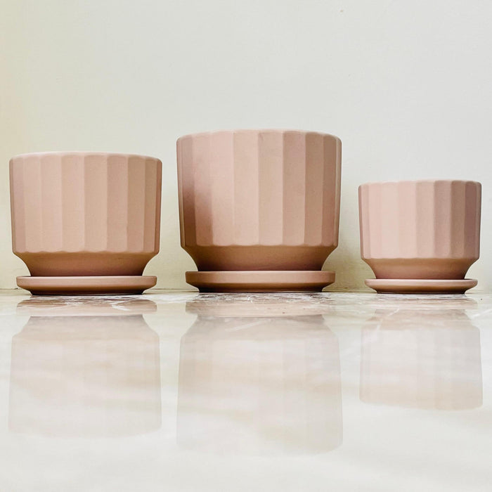 Fluted ceramic planters in a soft matte finish