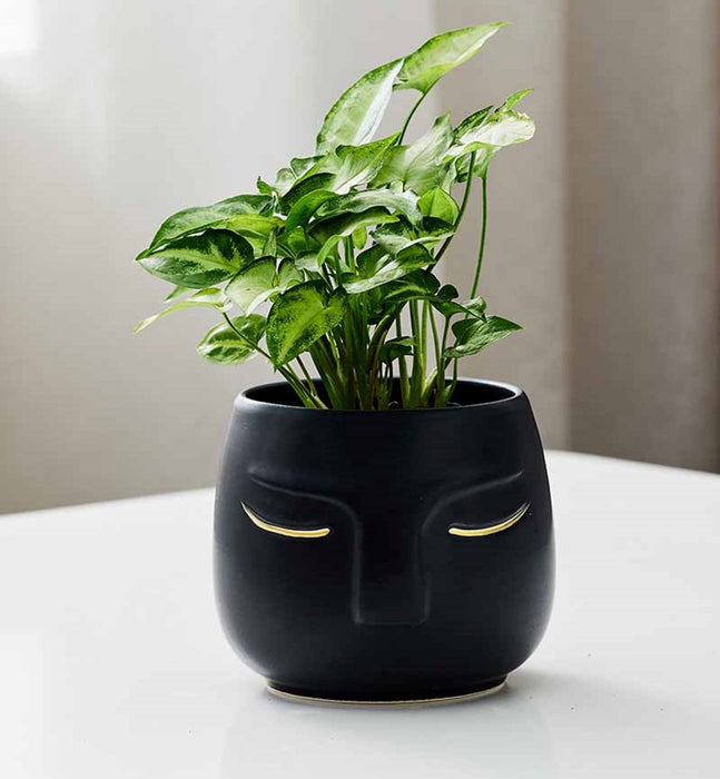 Black ceramic face planter with gold detailing