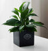 Glossy black planter with vertical ridges