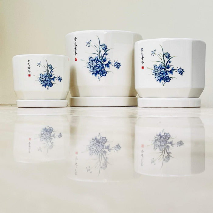 White ceramic pots with blue floral design and matching saucers