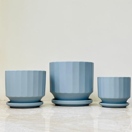 Blue ceramic pots with fluted design and matching saucers