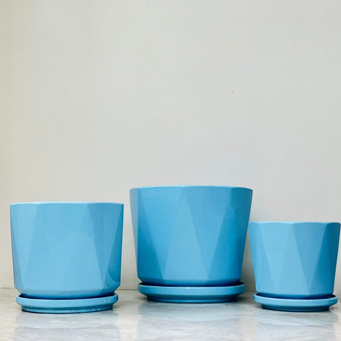 Stylish blue ceramic plant holders for home