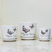 Butterfly Ceramic Planter Set with Flying Fairy Text