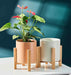 Minimalist Small Ceramic Cylinder Pot 