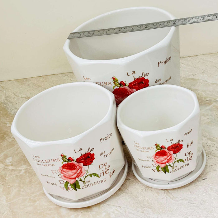 Elegant rose design ceramic pots with saucers