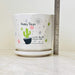 Ceramic pots with cheerful cactus design and text