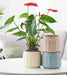 Classic Jar Ceramic Pot with glossy finish for indoor