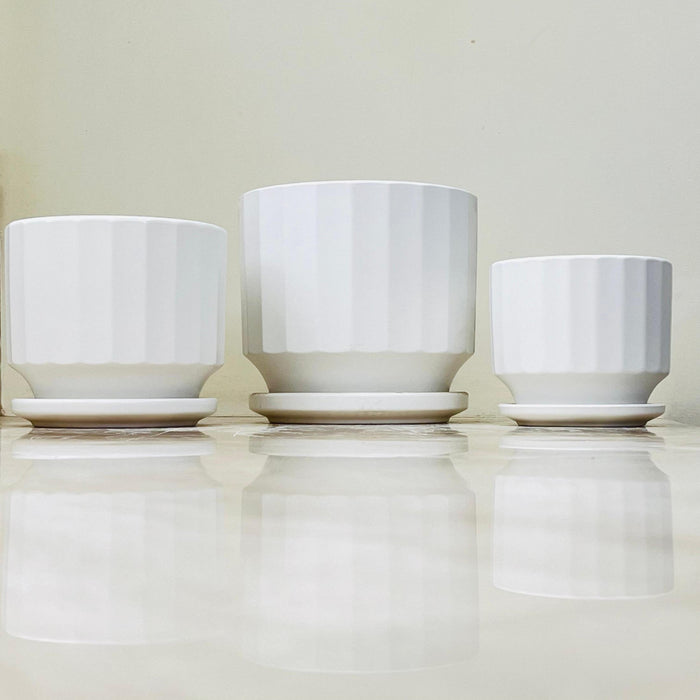 White ceramic planters with matching saucers and textured design