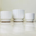 White ceramic planters with matching saucers and textured design