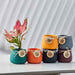 Colorful mini ceramic planters