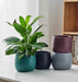 Colorful ceramic tabletop planters