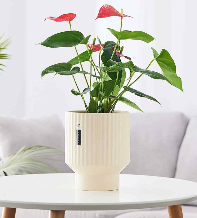 Cream ripple ceramic planter for modern indoor and outdoor decor