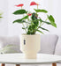 Cream ripple ceramic planter for modern indoor and outdoor decor