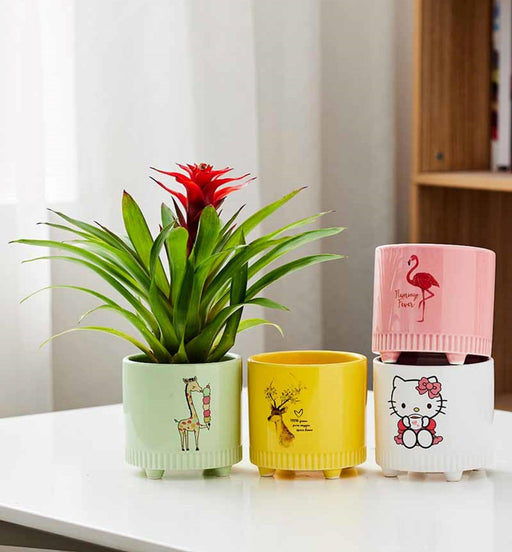 Kids-friendly indoor plant pots with character designs