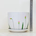 Elegant white ceramic planters with minimalist pink and green floral patterns