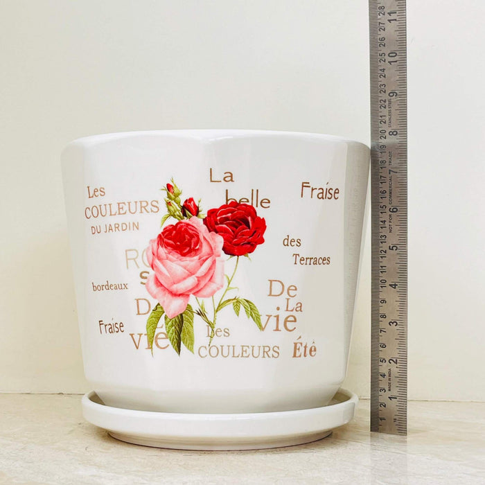 White ceramic pot set with rose and French words