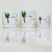 Decorative white ceramic pots with modern design and plant graphic