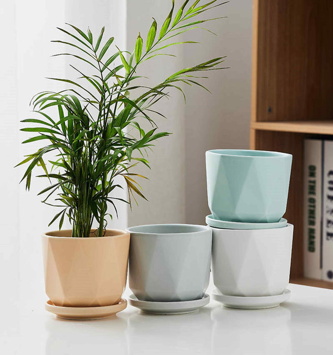 Stylish ceramic plant pots for indoor decor