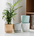 Stylish ceramic plant pots for indoor decor