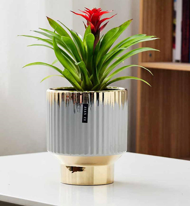 Luxury Ceramic Pot with Gold and Silver Finish