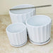 Three white ribbed ceramic planters in various sizes