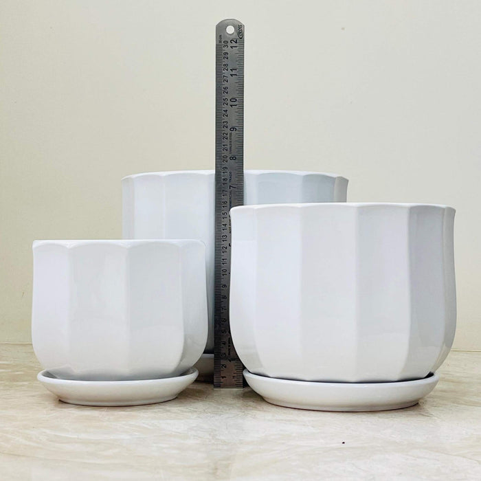 White ceramic plant pots with a fluted design