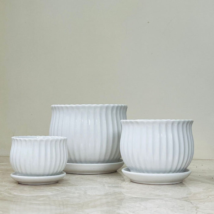 White fluted ceramic pot set with matching saucers