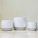 Sleek and simple white ceramic planters