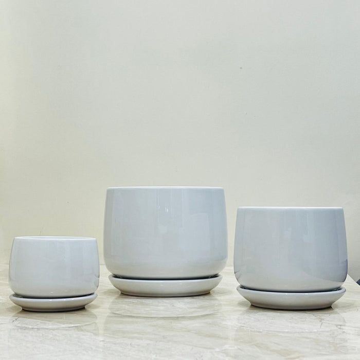 Simple and clean white ceramic planters