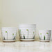 Set of white ceramic pots with hand-painted floral design