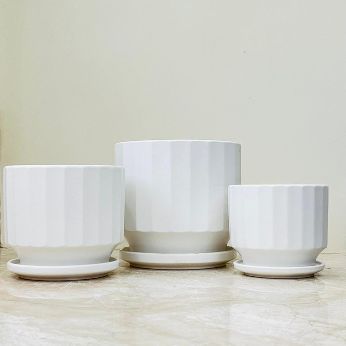 White ceramic pots with fluted design and matching saucers