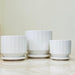 White ceramic pots with fluted design and matching saucers