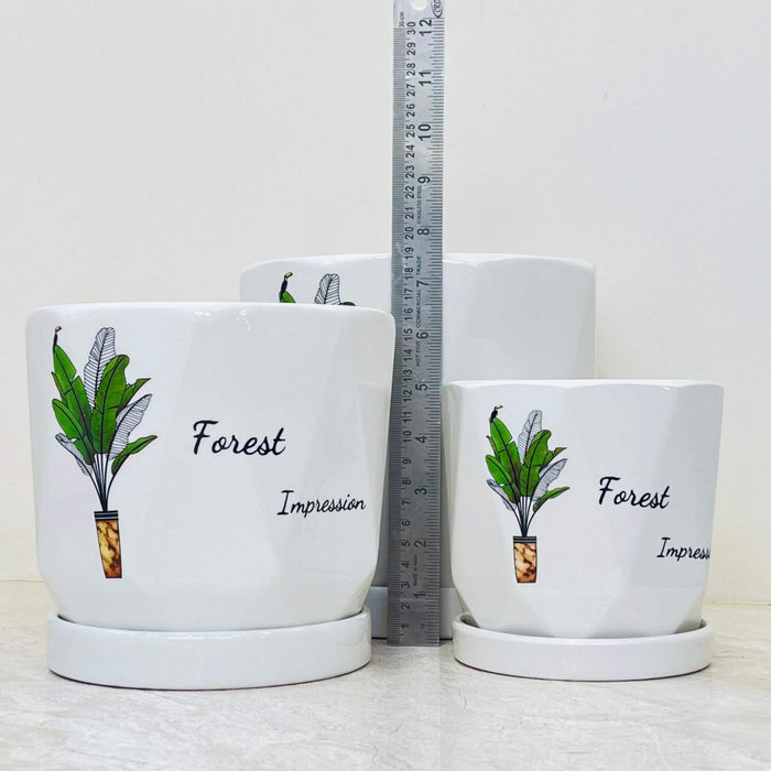 Geometric white ceramic pots featuring illustrated plant design