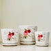 White ceramic pots with rose and French text design