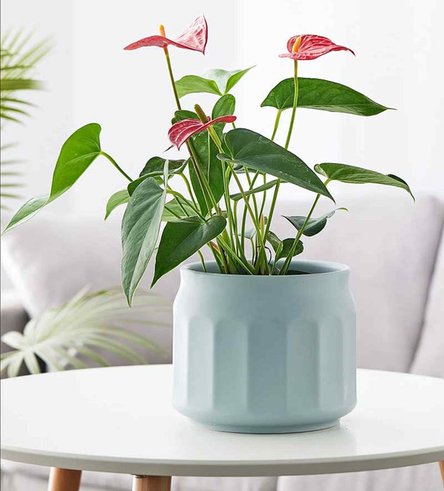 Frosted Pastel Blue Ceramic Pot