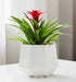 Modern hexagonal indoor plant pot