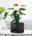 Ribbed black ceramic planter for tabletops