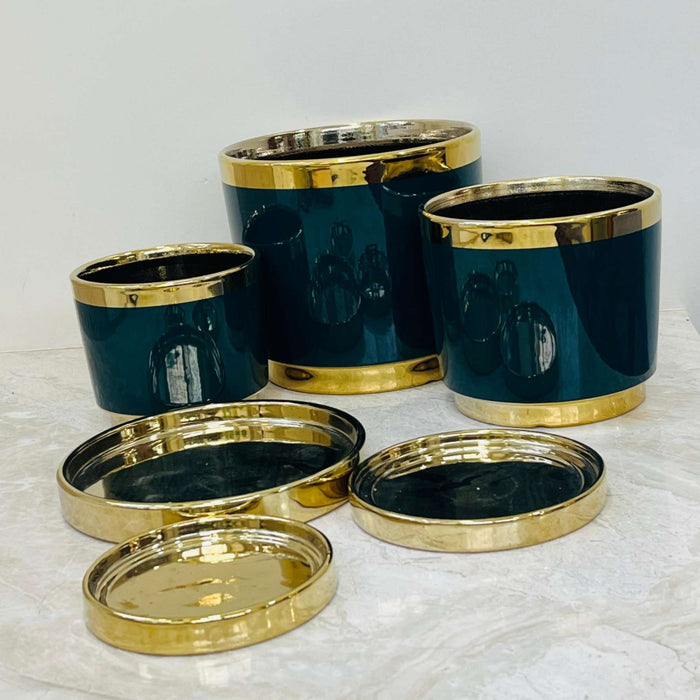 Elegant ceramic plant pots with golden finish