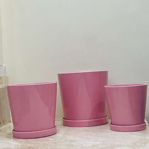 Glossy Pink Tapered Ceramic Planter Set with Trays