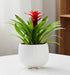 Round indoor plant pot in white