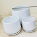 Minimalist white ceramic pots for indoor plants