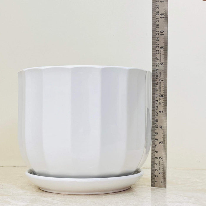 Three white fluted ceramic planters in different sizes