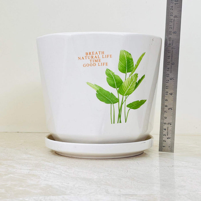 White ceramic pot set with green leaves and inspirational text