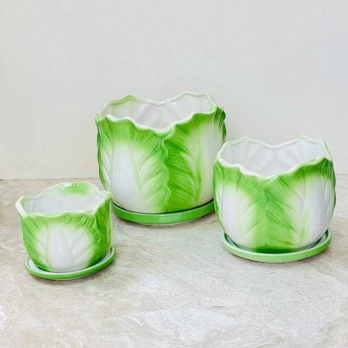 Green Scalloped Ceramic Pot Set