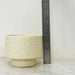 Hammered ceramic planter in cream with elevated base