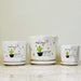 Cactus-themed ceramic pots with 'Happy Days' design