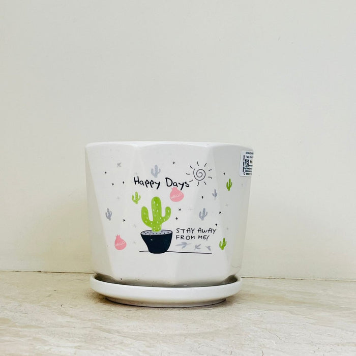 Playful cactus-themed indoor plant pots